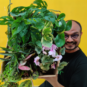 Vinayak-Garg-founder-lazygardener-with-plants